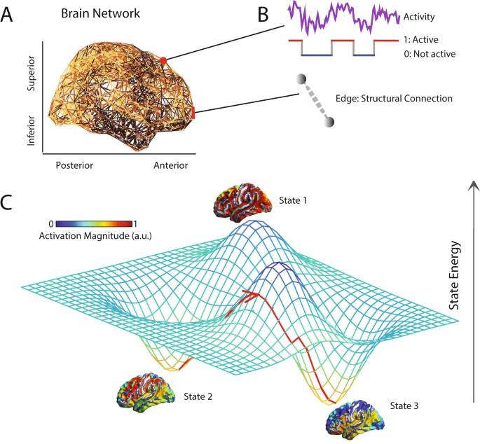 Energy landscapes direct the movement preferences of elephants – besjournals