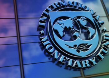 IMF warns against Egypt’s military dominance over economy – Middle East Eye