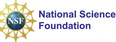 National Science Foundation staff decry Trump’s ‘politically motivated’ cuts – The Guardian