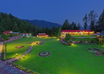 Pine Park Becomes a Cold-Weather Ecology Lab – Dartmouth