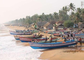 Building Resilience in Coastal Communities with NASA Earth Science – NASA Applied Sciences (.gov)