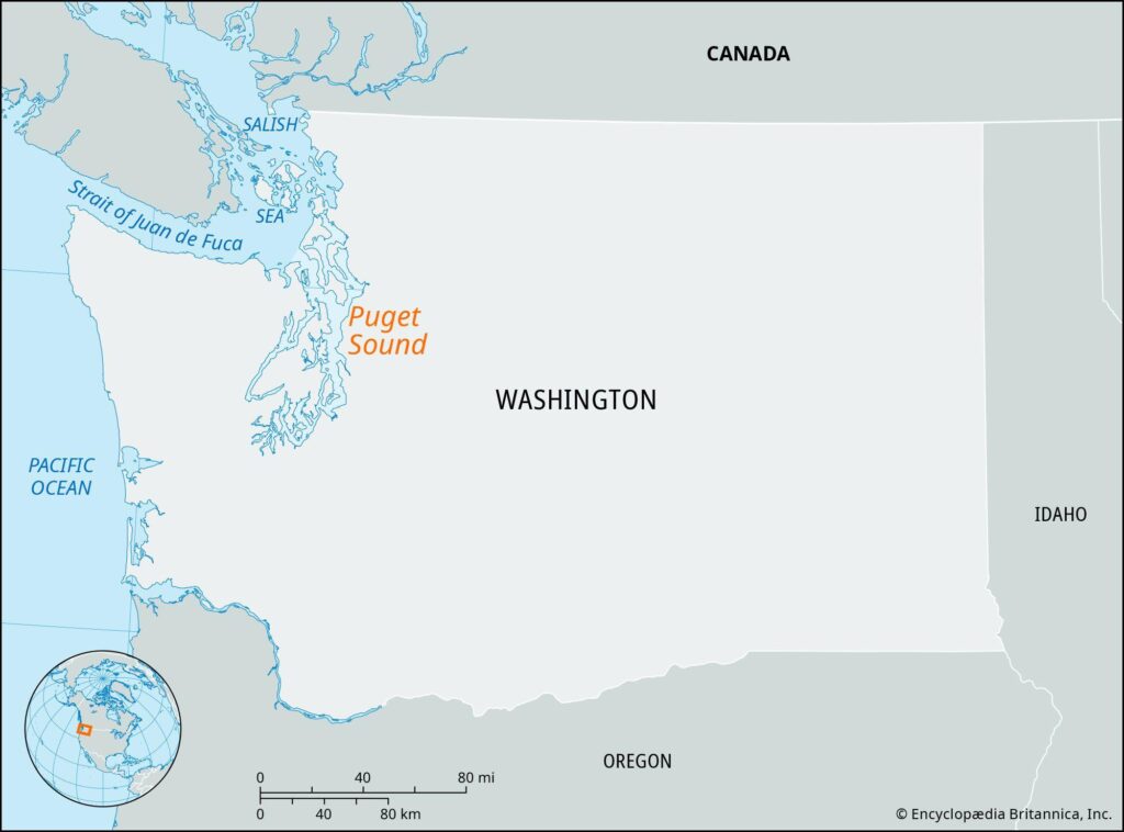 Reducing nutrients in Puget Sound – Department of Ecology – State of Washington (.gov)