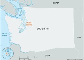 Reducing nutrients in Puget Sound – Department of Ecology – State of Washington (.gov)