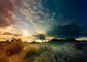 Timelapse Shows New Mega Port at World’s Biggest Construction Site – Newsweek