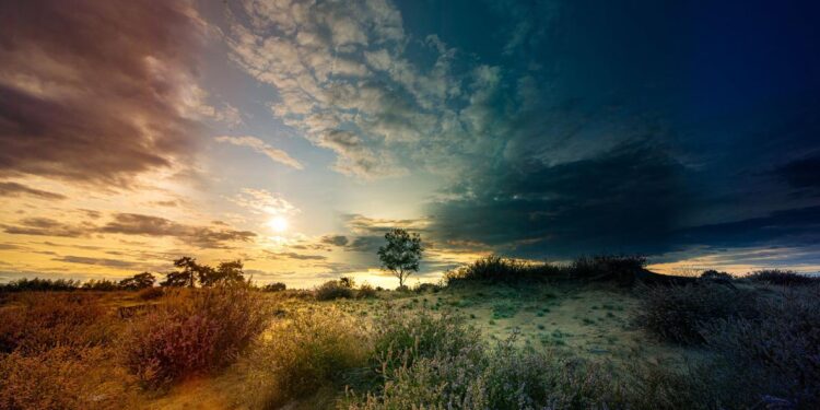 Timelapse Shows New Mega Port at World’s Biggest Construction Site – Newsweek
