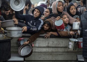 Malnutrition rates reach alarming levels in Gaza, WHO warns – World Health Organization (WHO)