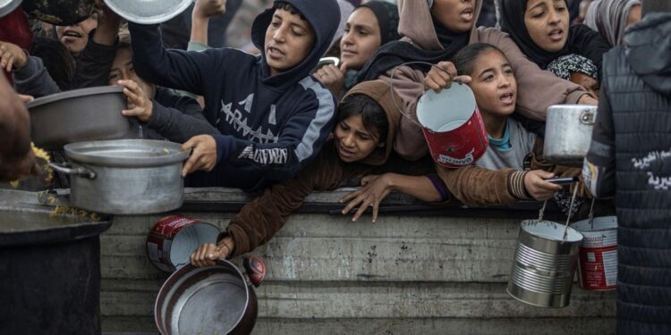 Malnutrition rates reach alarming levels in Gaza, WHO warns – World Health Organization (WHO)