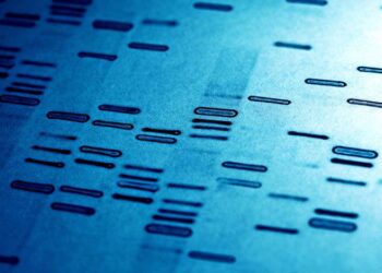 New DNA Analysis Allows Scientists To Identify Specific Animals by Their Feces – Smithsonian Institution