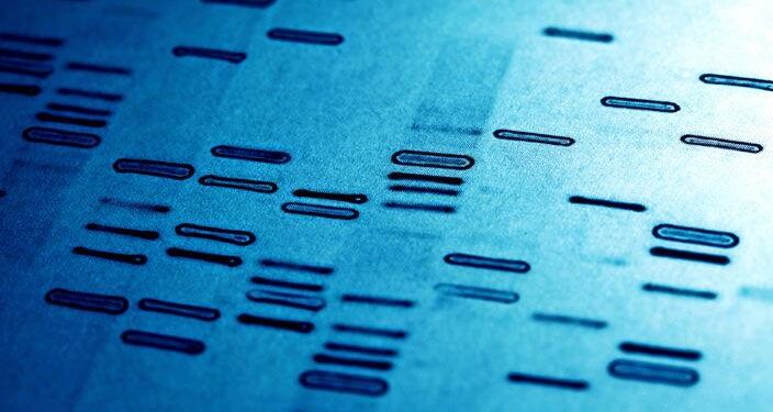 New DNA Analysis Allows Scientists To Identify Specific Animals by Their Feces – Smithsonian Institution