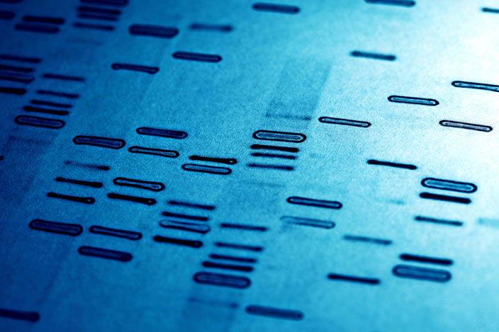 New DNA Analysis Allows Scientists To Identify Specific Animals by Their Feces – Smithsonian Institution