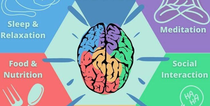 Trying to keep your brain young? A big new study finds these lifestyle changes help – NPR
