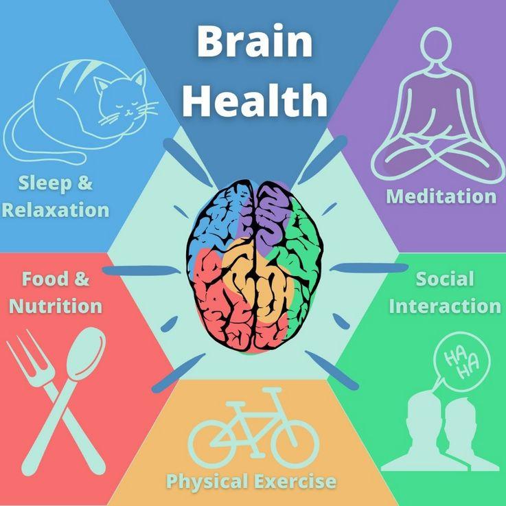 Trying to keep your brain young? A big new study finds these lifestyle changes help – NPR