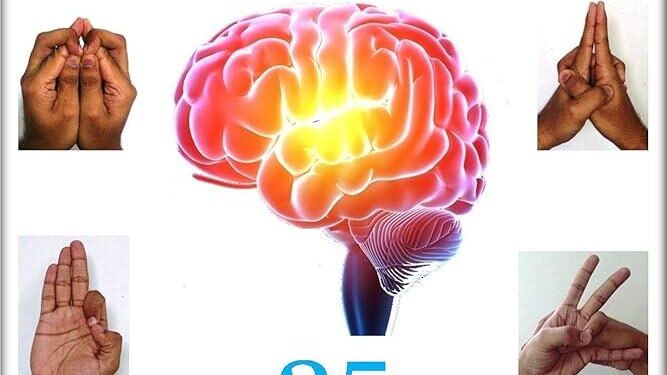 6 science-backed strategies to improve your memory – National Geographic