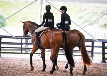 New NIL guidance from College Sports Commission softens stance on collective payments to athletes – CBS Sports