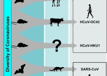 Endemism shapes viral ecology and evolution in globally distributed hydrothermal vent ecosystems – Nature
