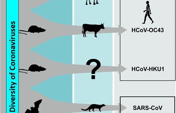 Endemism shapes viral ecology and evolution in globally distributed hydrothermal vent ecosystems – Nature