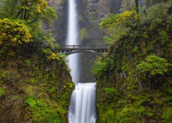 Your nature photo might be a scientific breakthrough in disguise – ScienceDaily