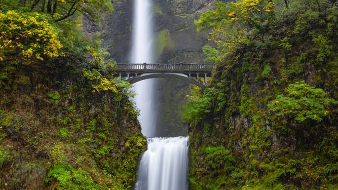 Your nature photo might be a scientific breakthrough in disguise – ScienceDaily