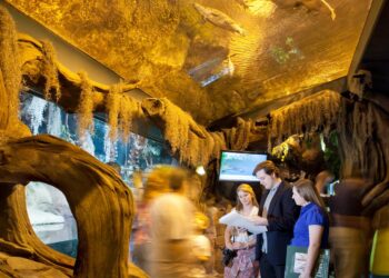 Themed Entertainment Design – Purdue Polytechnic