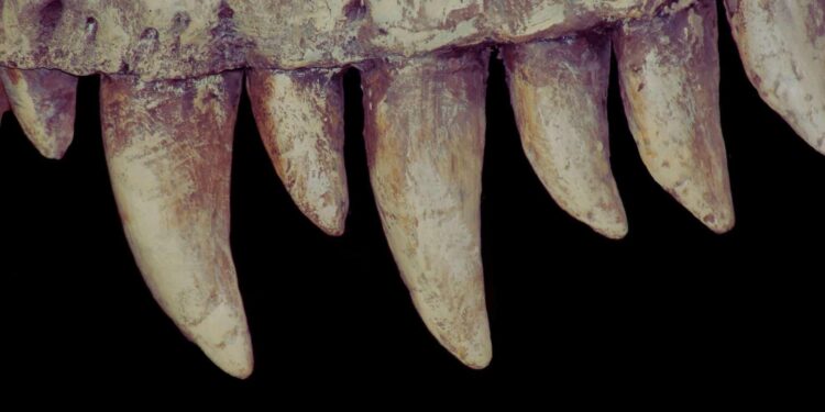 Prehistoric Air Has Been Reconstructed From Dinosaur Teeth in an Amazing First – ScienceAlert