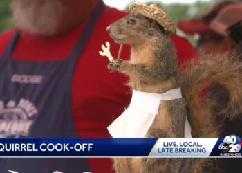 Test your campfire cooking skills at the 2025 World Champion Squirrel Cook Off Sept. 13 – Arkansas Game and Fish Commission