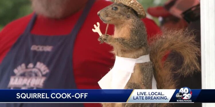 Test your campfire cooking skills at the 2025 World Champion Squirrel Cook Off Sept. 13 – Arkansas Game and Fish Commission