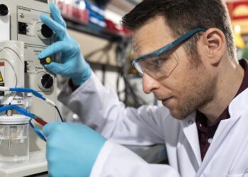 Scientists face ecological and economic hurdles to save Mississippi River Delta – PBS