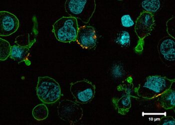 Concerns Emerge Over Potential Cancer Links to Drugs Like Ozempic – ScienceAlert