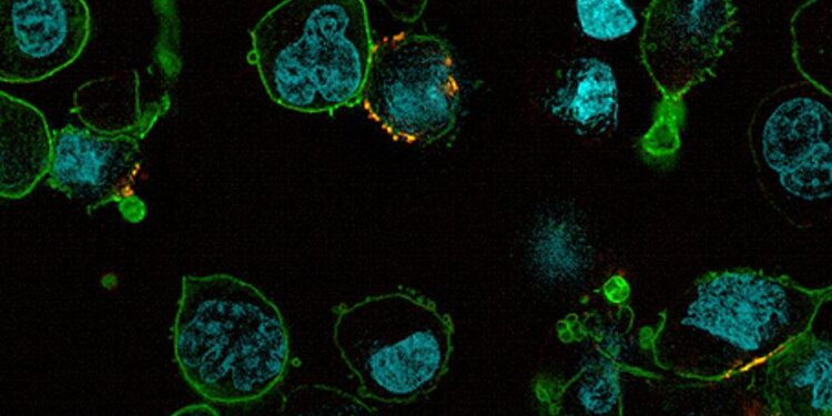 Concerns Emerge Over Potential Cancer Links to Drugs Like Ozempic – ScienceAlert