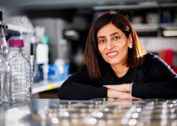 Scientists launch coordinated response to Trump’s attempt to wipe credible climate research off the record – CNN