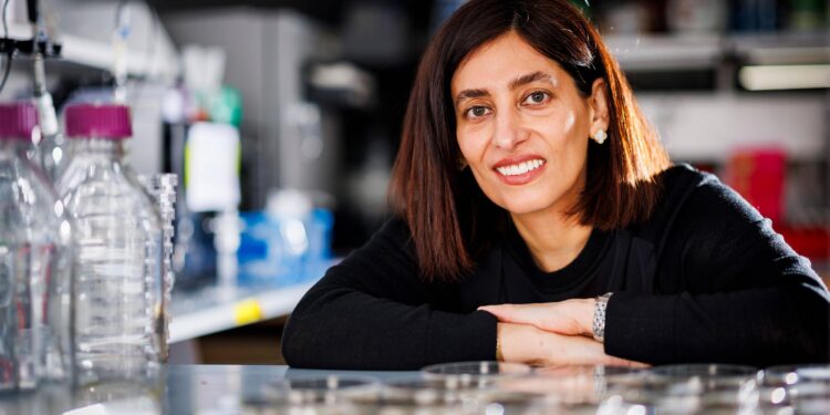 Scientists launch coordinated response to Trump’s attempt to wipe credible climate research off the record – CNN