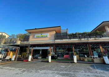 Validea’s Top Information Technology Stocks Based On Martin Zweig – 8/13/2025 – Nasdaq