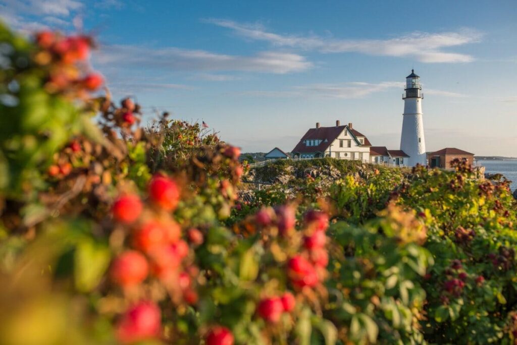 MyMaine Media celebrates Maine’s modern lifestyle – WGME