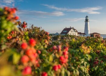 MyMaine Media celebrates Maine’s modern lifestyle – WGME