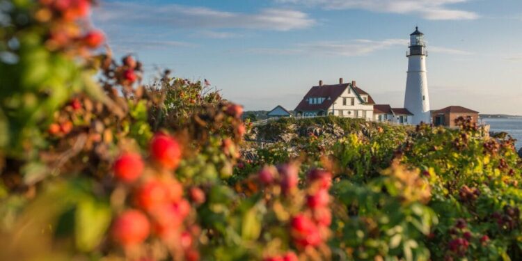 MyMaine Media celebrates Maine’s modern lifestyle – WGME