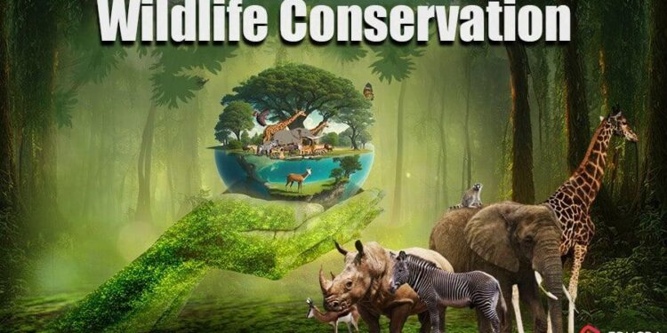 Animal ecology major renamed wildlife and fisheries conservation and ecology – Iowa State University