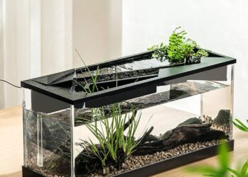 Small aquatic systems found to fix 15% of Earth’s nitrogen – EurekAlert!