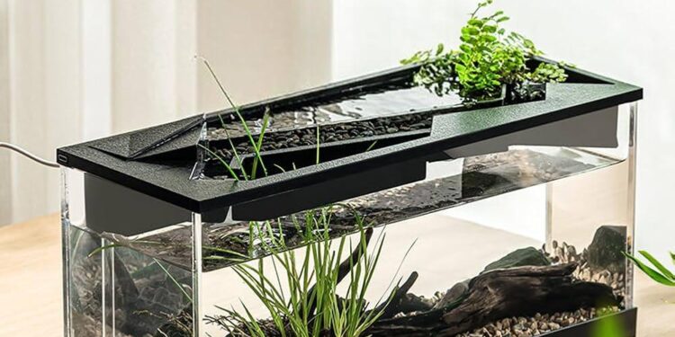 Small aquatic systems found to fix 15% of Earth’s nitrogen – EurekAlert!