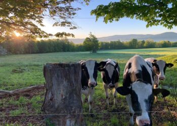 Vermont famers say new technology is changing the state’s agriculture industry – News Channel 3-12