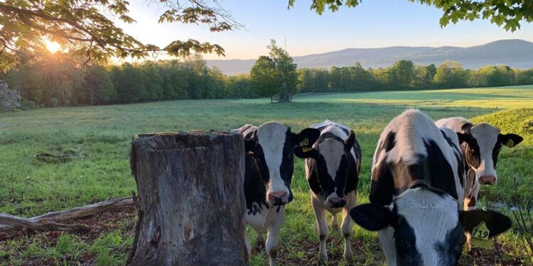 Vermont famers say new technology is changing the state’s agriculture industry – News Channel 3-12