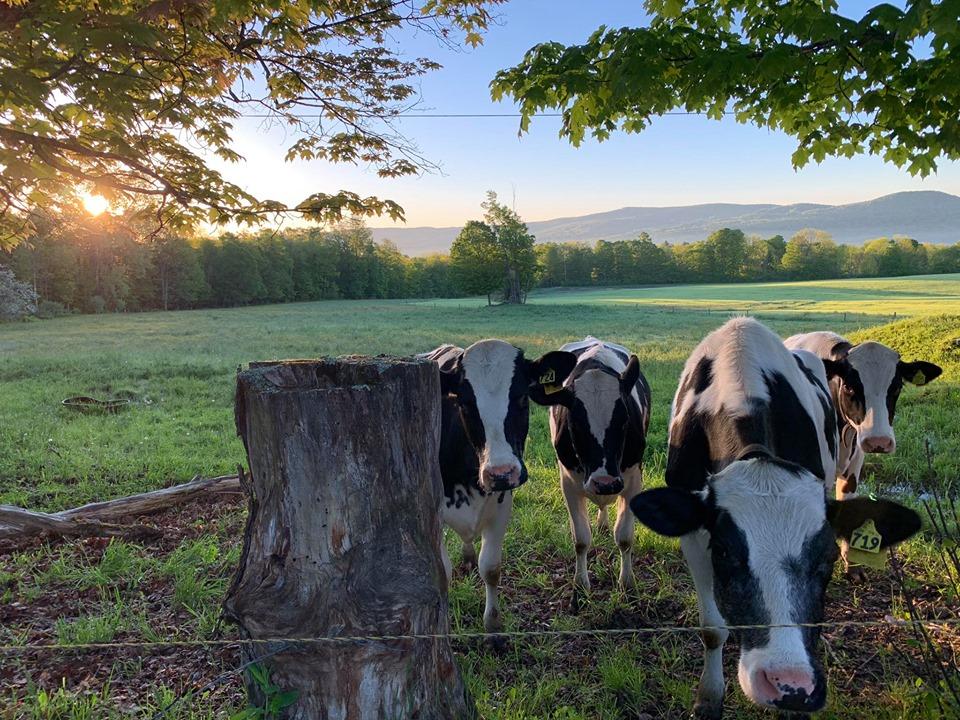 Vermont famers say new technology is changing the state’s agriculture industry – News Channel 3-12