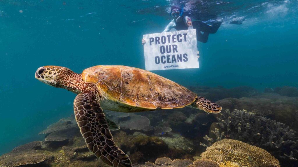 Protected seas help kelp forests bounce back from heatwaves – ScienceDaily