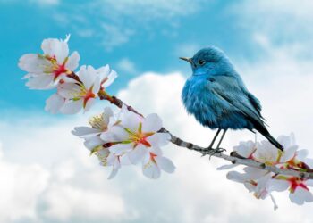 Dating App Burnout Is Real But It Doesn’t Have to Be Your Reality, Love Bites with Lifestyle Coach Francesca Luca – WATD 95.9 FM