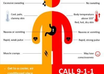 ‘Urgent action’ needed to protect workers from heat stress in warming world, UN says – Reuters