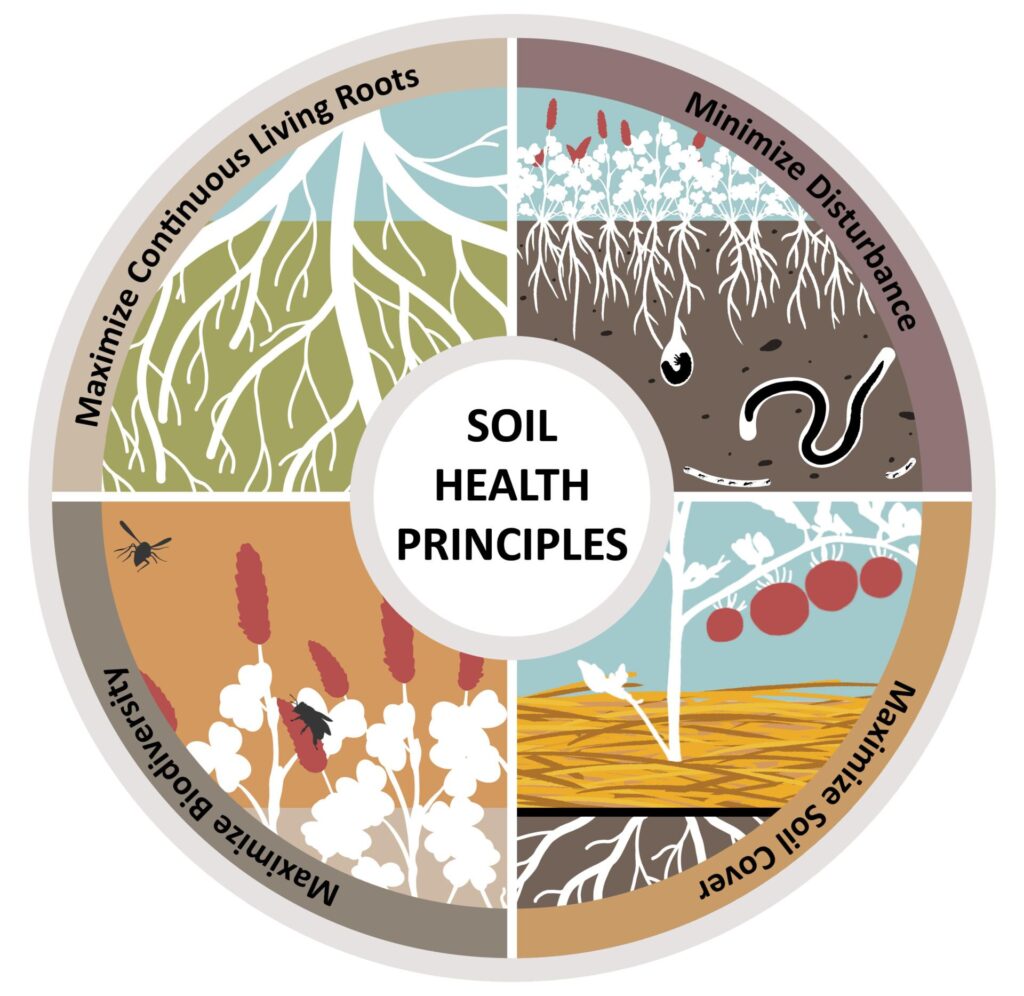 Luther College to host discussion exploring links between soil and food health – Luther College