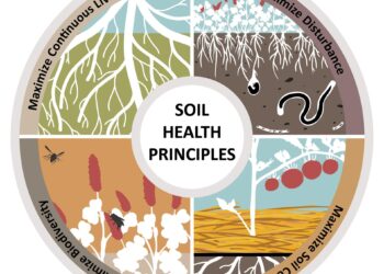 Luther College to host discussion exploring links between soil and food health – Luther College