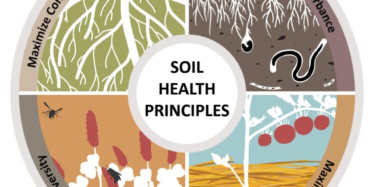 Luther College to host discussion exploring links between soil and food health – Luther College