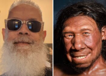 Scientists Sequenced the DNA of the ‘Last Neanderthal’—and It Alters Human History – yahoo.com