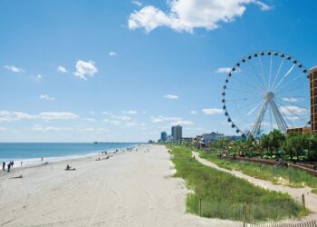 South Carolina city selected to host 2027 Diamond Youth Baseball World Series – WRDW