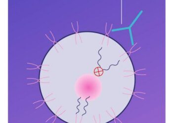 Researchers Build Real-World External Control Arm to Accelerate HER2+ Breast Cancer Drug Development – OncLive